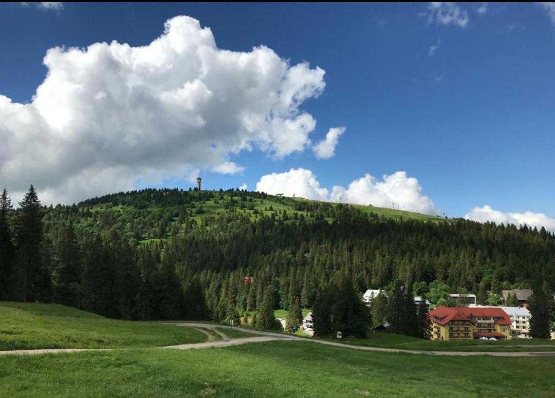 Ferienwohnung Feldberg Mit Whirlpool Direkt An Der Skipiste Dış mekan fotoğraf